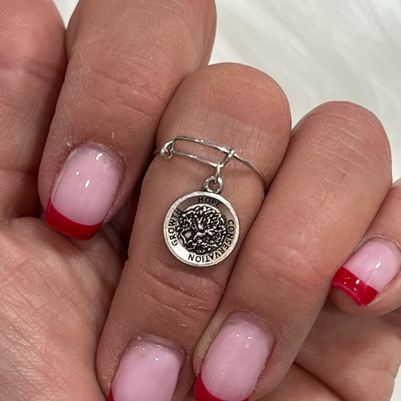 Alex and Ani Adjustable ring. - Picture 2 of 3